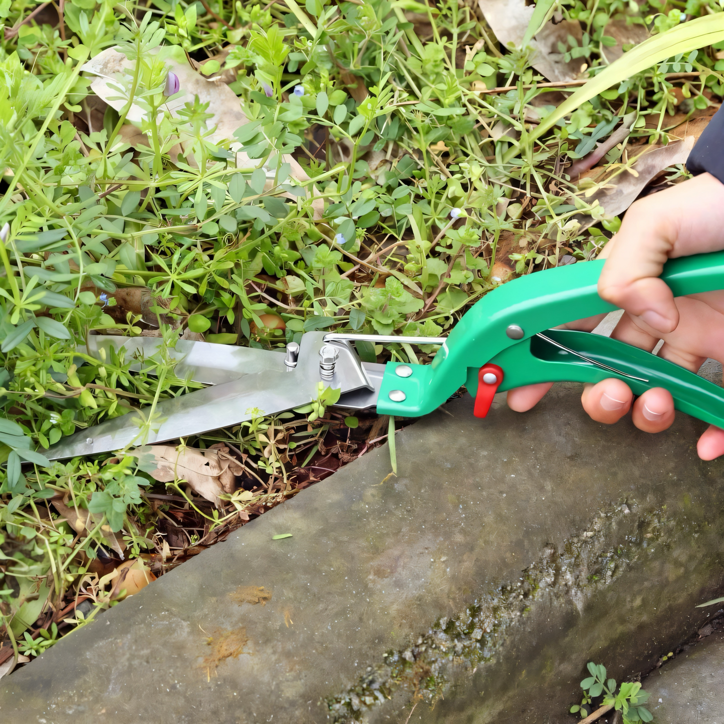 Premium 12-teiliges Gartenwerkzeug-Set mit Tragetasche – Profi Gartenschere, Handschaufel, Hacke, Unkrautstecher, Sprühflasche – Rostfrei, Ergonomisch, Ideal für Gartenarbeit, Balkon & Zimmerpflanzen